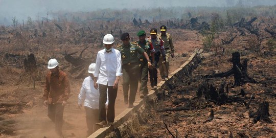 Menteri Ferry: Pemegang HGU juga harus menjaga kelestarian hutan