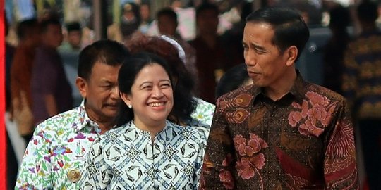 Jokowi soal cadangan beras nasional: Cukup aman tak perlu impor!