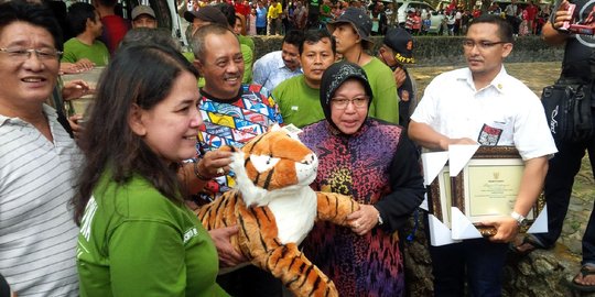 Tutup masa jabatan, Risma dapat Harimau Sumatera dari Taman Safari