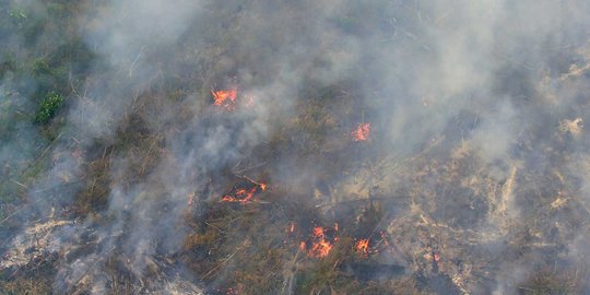 Kebakaran hutan di Riau, perusahaan pemasok kayu salahkan warga