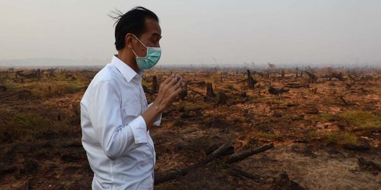 Presiden Jokowi siapkan 3 hal agar pembakar hutan jera