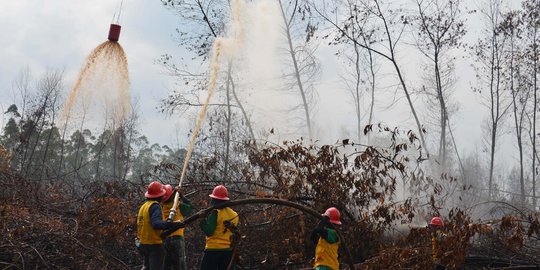 Pemerintah bakal cabut 286 izin perusahaan sebabkan kebakaran hutan