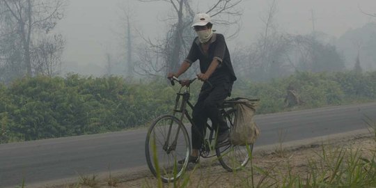 Pemerintah belum butuh Singapura bantu padamkan kebakaran hutan