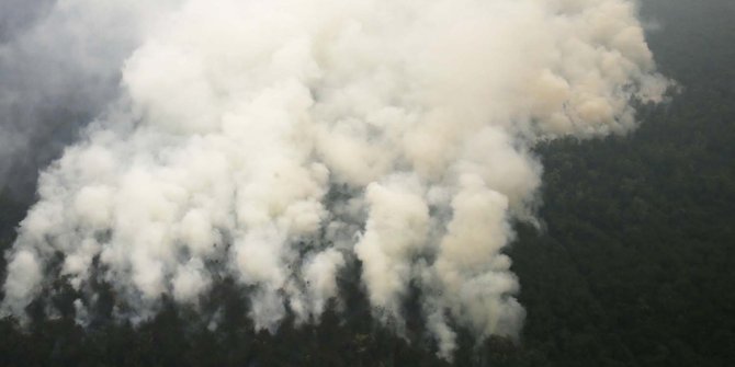 Tersangka karhutla bukan petinggi, penyidikan Polda Sumsel diragukan