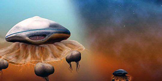 mars adalah tanda adanya kehidupan rev1