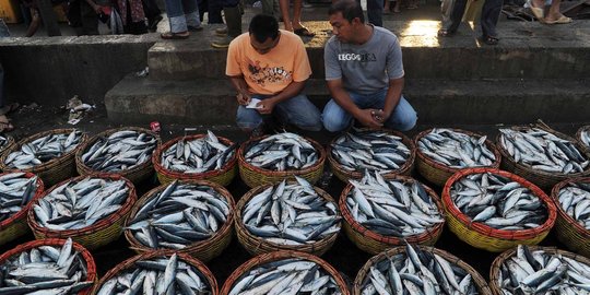 Menteri Susi sebut ikan di Indonesia hampir habis