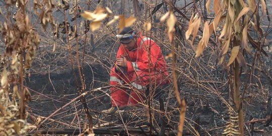 Jokowi minta BNPB percepat atasi kebakaran hutan dan kabut asap