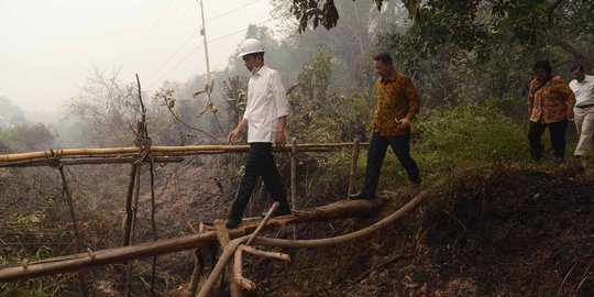 BNPB klaim kebakaran lahan berkurang berkat ide kanal sekat Jokowi