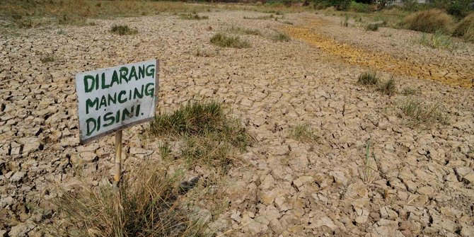 Kemarau panjang, petani Klaten biarkan lahan persawahan terbengkalai