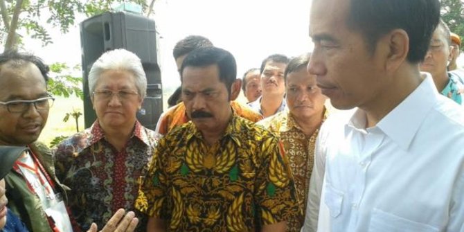 Jokowi sebut daerah di luar Jawa berpotensi jadi lumbung padi