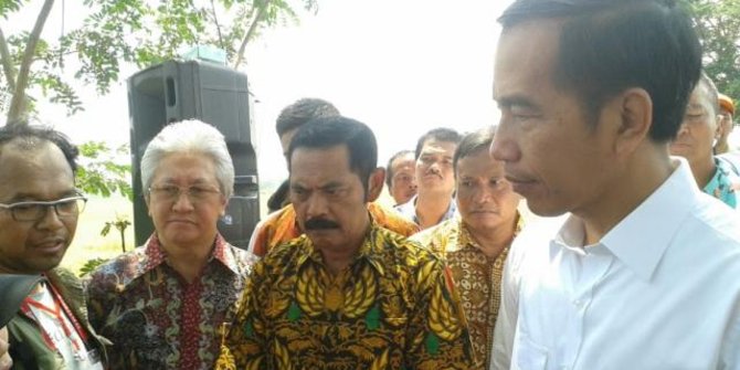 Bulog simpan 1,7 juta ton, Jokowi sebut stok beras aman tahun ini