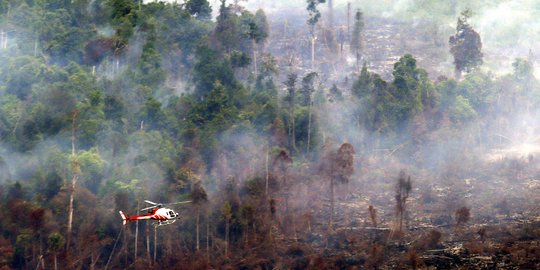 Hingga Oktober 2015, 2.400 hektare lahan di Sumsel terbakar