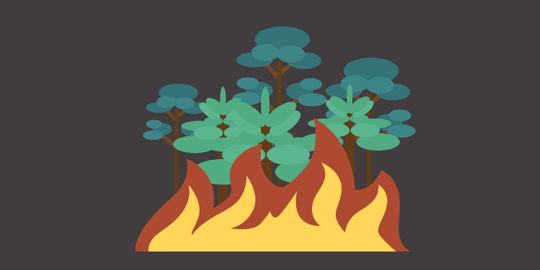 Peranan masyarakat harus diperkuat cegah kebakaran hutan & lahan