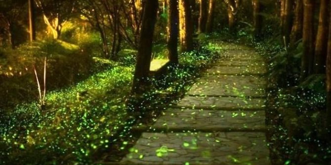 Keren, di taman ria ini pengunjung bisa lihat 10.000 