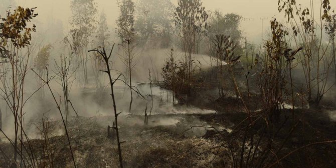 116 Hektare lahan terbakar, asisten dan staf PT ASL diperiksa polisi