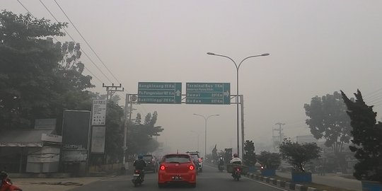 Demokrat: Soal kabut asap, Pemerintah tak perlu malu terima bantuan