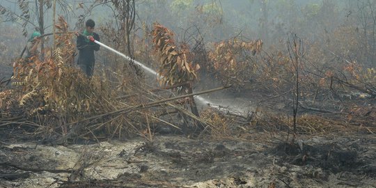 Diduga bakar lahan, 18 perusahaan di Riau diperiksa polisi