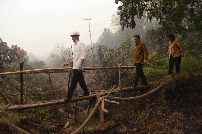 jokowi tinjau kebakaran hutan di kalimantan