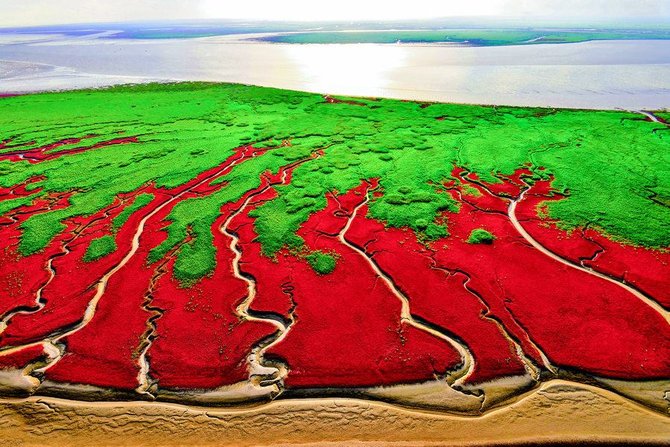 pantai merah di panjin china