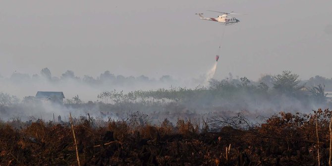 Singapura desak RI umumkan daftar perusahaan pembakar hutan