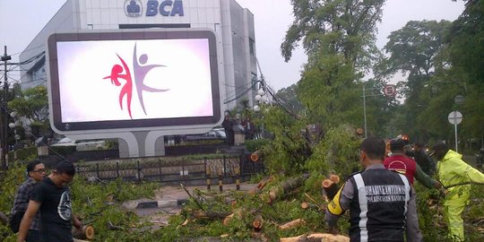 Hujan deras, pohon raksasa di Dago tumbang lumpuhkan jalan