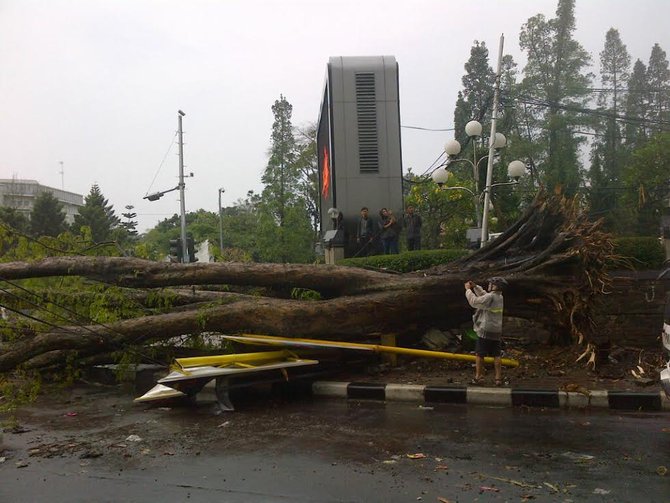 pohon tumbang di bandung