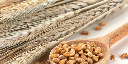 10 makanan ini bisa rontokkan nikotin dalam 24 jam [part 2]