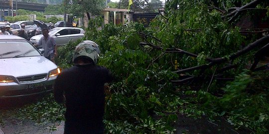 Sebelum pohon di depan ITB tumbang, datang hujan dan angin kencang