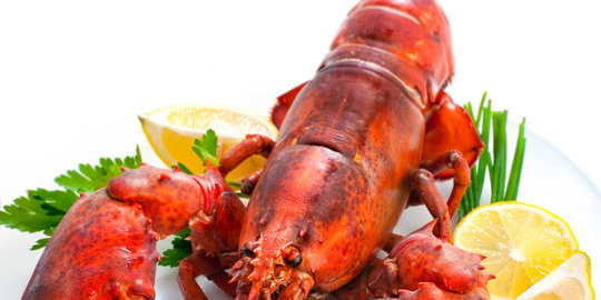 Pemerintah gagalkan penyelundupan 320 ribu bibit lobster