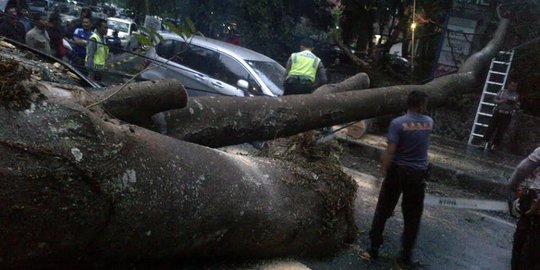 Pohon tumbang timpa mobil, Pemkot Bandung tak ganti rugi