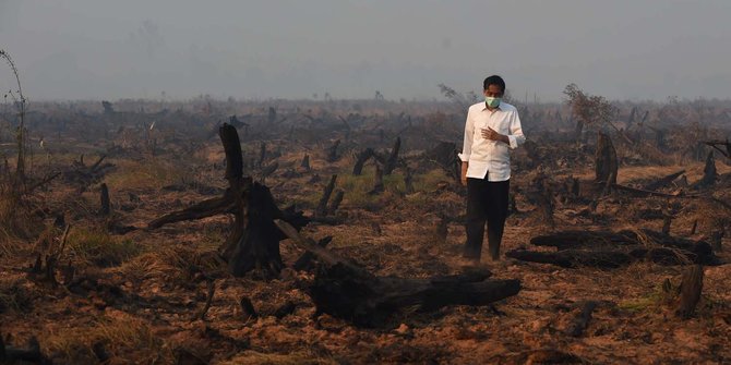 Terima bantuan Singapura, alasan Jokowi bukan kebakaran hutan biasa
