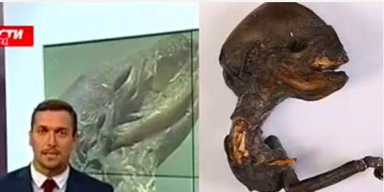 sosok bangkai mirip alien di rusia rev3