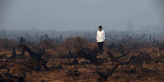 Jokowi instruksikan bantuan asing fokus atasi kebakaran di Sumsel