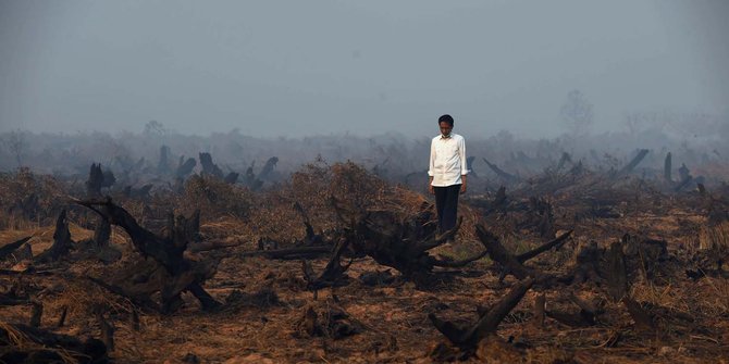 Jokowi instruksikan bantuan asing fokus atasi kebakaran di Sumsel