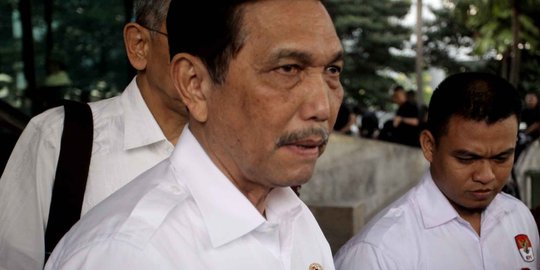 Luhut akui pemerintah kecolongan beri izin pengelolaan HTI