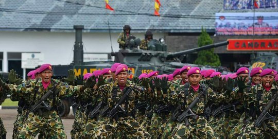 api dan temukan illegal logging rev1