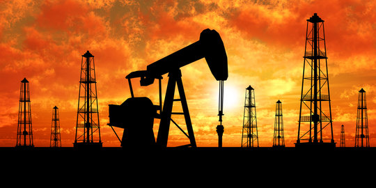 Anak usaha PGN temukan cadangan minyak 300 juta barel