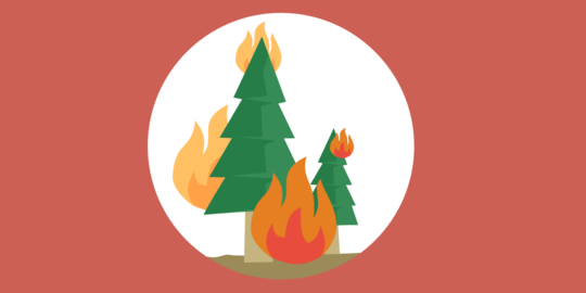 WALHI: Pemerintah, perusahaan & masyarakat berkolaborasi bakar hutan