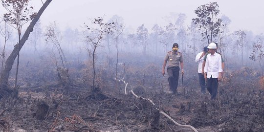 DPR: Harusnya dari awal presiden pimpin pemadaman kebakaran hutan