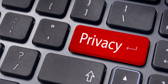 Aturan privasi digital penting, tetapi butuh partisipasi masyarakat