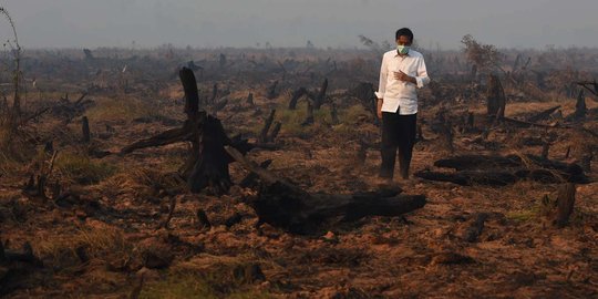 Banyak dibantu asing, Jokowi targetkan 2 minggu kabut asap beres
