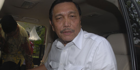 Menteri Luhut pesimis penanganan kabut asap beres dalam dua minggu