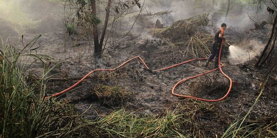 Pemerintah tambah Rp 700 miliar atasi kebakaran hutan dan lahan