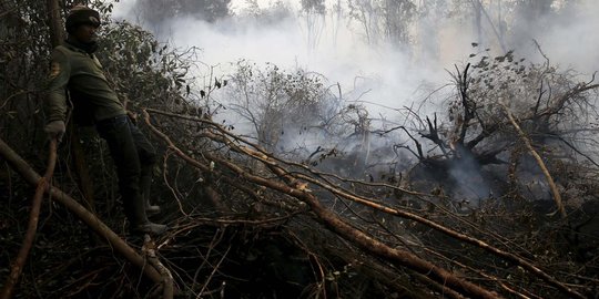 Pemerintah sebut petani sawit turut jadi korban kebakaran hutan