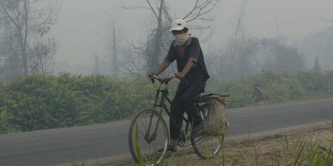 Dituding bakar hutan, produk PT Sinar Mas diboikot Singapura