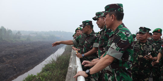 Panglima TNI Tinjau Penanggulangan Kebakaran Hutan di Kalteng