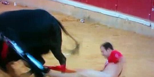 [Video] Kesal diadu, banteng telanjangi matador di Spanyol