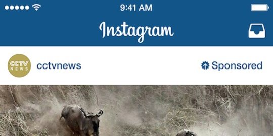 ini 5 contoh sukses pebisnis yang iklan di instagram