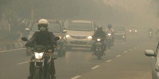 Menko Luhut akui pemerintah kesulitan atasi kabut asap