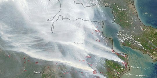 Dalih pemerintah kebakaran hutan tidak ditetapkan bencana nasional